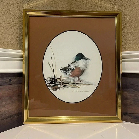 Mads Stage Original Signed Watercolor of a Sheand Spatula Clypeata 1979